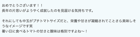 スクリーンショット 2024-07-25 17.01.04