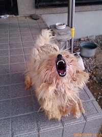 201012221413