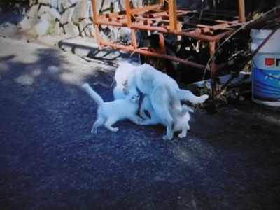 P1000095