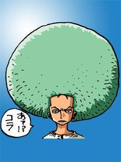 ゾロのネタ画像でナミもサンジも爆笑 ワンピースナミ画像