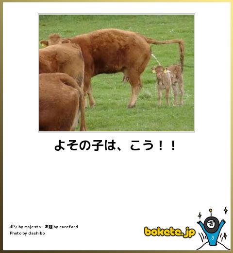 boketeよその子は、こう!!