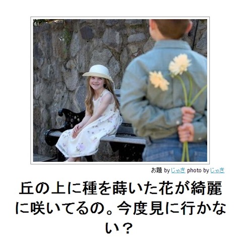 丘の上に種を蒔いた花が綺麗に咲いてるの