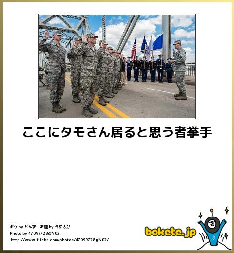 boketeここにタモさん居ると思う者挙手