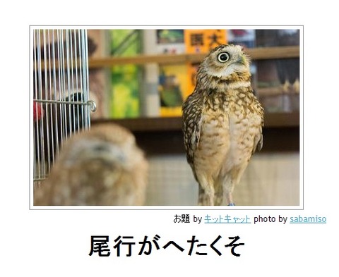 bokete尾行がへたくそ