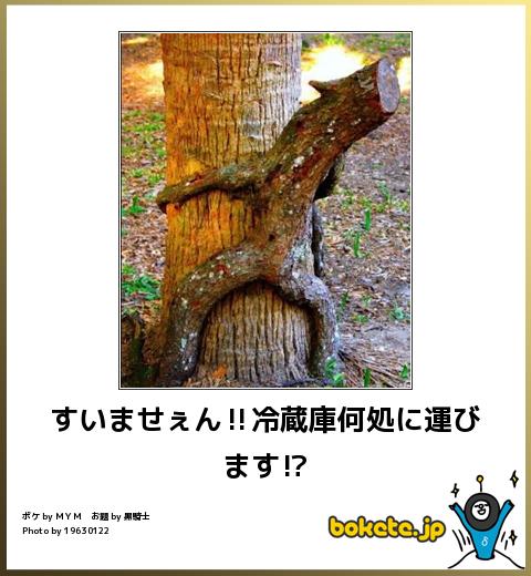 boketeすいませぇん冷蔵庫何処に運びます?
