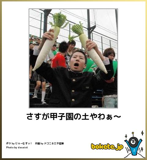 boketeさすが甲子園の土やわぁ〜