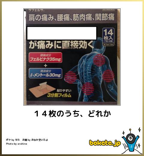 bokete 14枚のうち、どれか