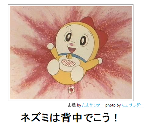 boketeネズミは背中でこう!●bky11