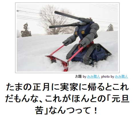boketeたまの正月に実家にかえるとこれだもんな、これがほんとの「元旦苦」なんつって!