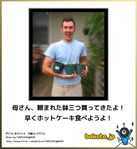 bokete母さん、頼まれた鉢三つ買ってきたよ!早くホットケーキ食べようよ!