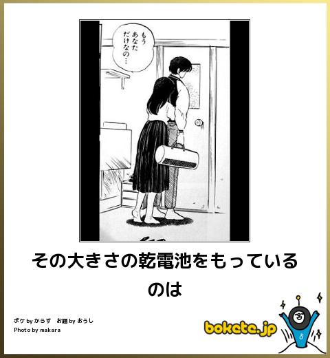 boketeその大きさの乾電池をもっているのは