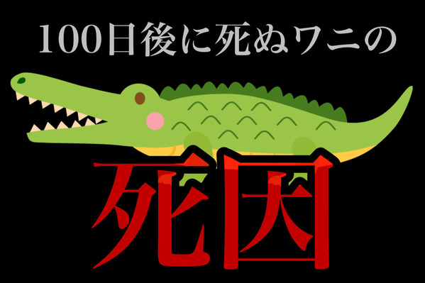 100日後に死ぬワニの死因は何だったの？