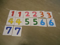 DSCN0518