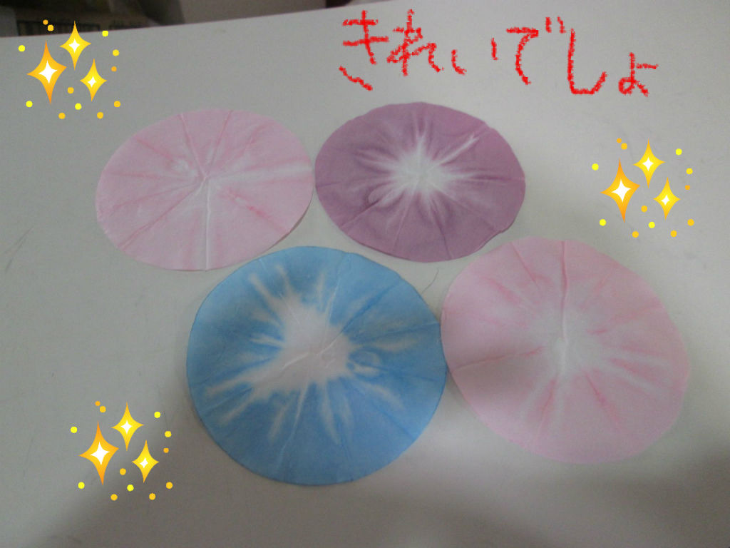 朝顔製作 くま わんわん日記 朝顔製作 くま わんわん日記