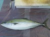 DSCF0019