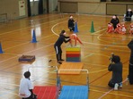 IMG_6977