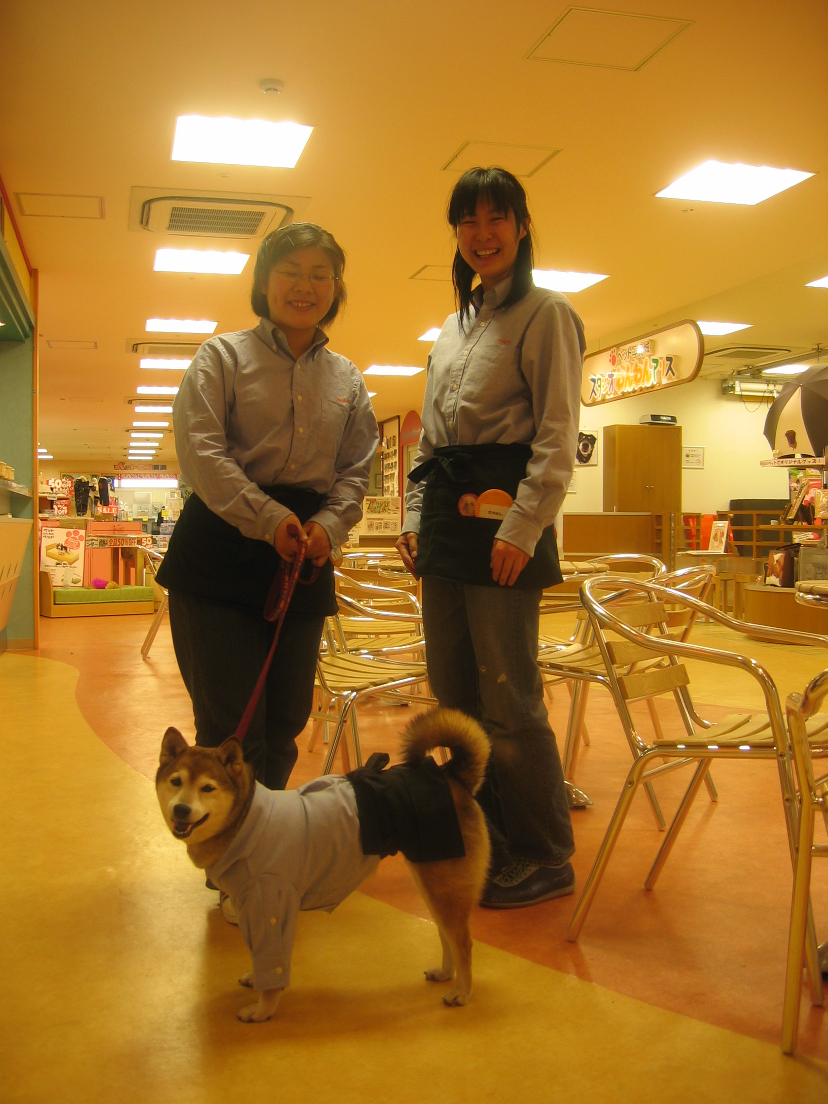 スタジオわんわんアリスの皆さん と看板犬ハナちゃん サロンドワンワン のあれこれ