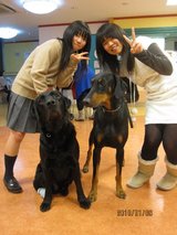 りゅうくん りんちゃん 1月6日