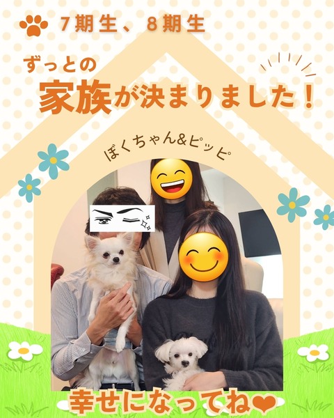 卒業犬_20251201_210910_0000