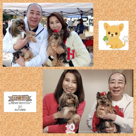 InCollage_20251123_010453108