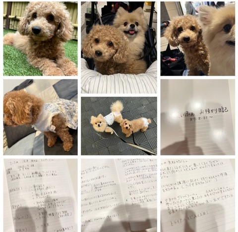 Screenshot_20251025_194010_Chrome