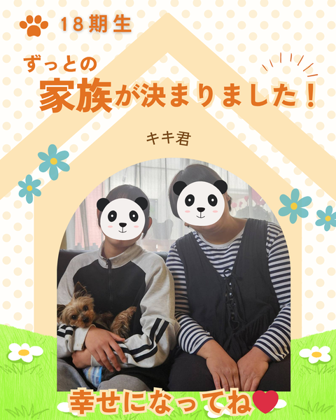 卒業犬 (1)