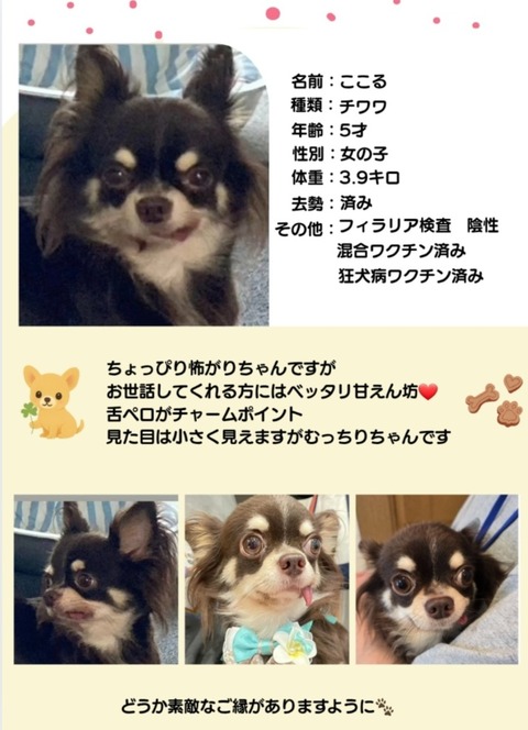 Screenshot_20251203_195407_Chrome