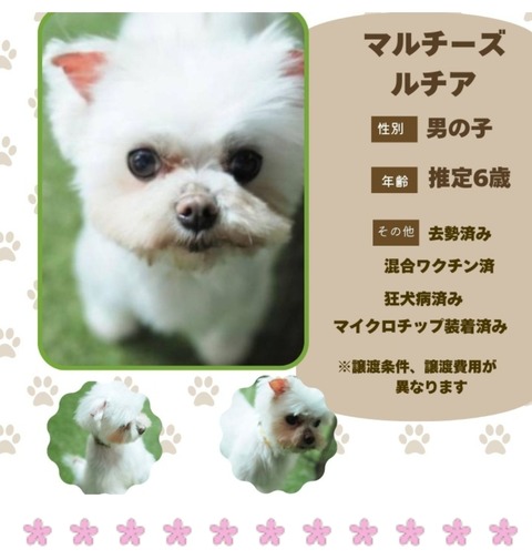 Screenshot_20251203_195523_Chrome