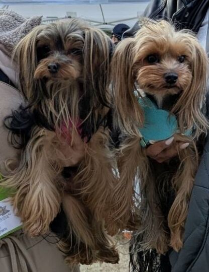 Screenshot_20251124_212649_LINE