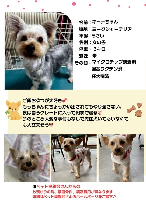 ホームページ掲載画像_20251207_143112_0000