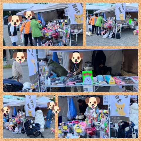 InCollage_20251116_110034158