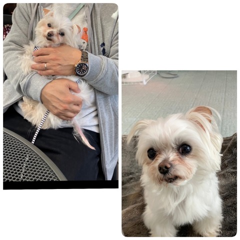 26-02-28-11-28-55-876_deco