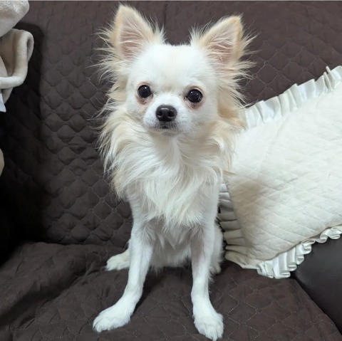 Screenshot_20251112_191319_Instagram