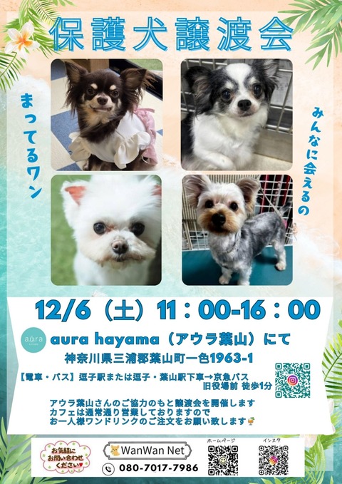 116（土）11：00-16：00_20251203_153044_0000