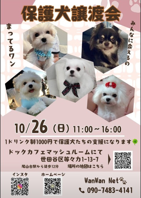 Screenshot_20251025_195730_LINE