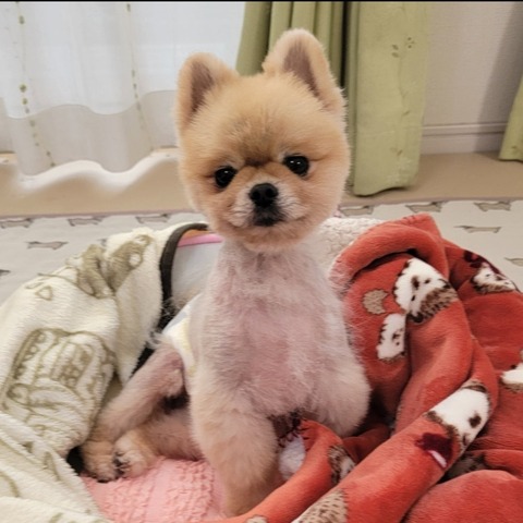 Screenshot_20251123_175902_Ameba