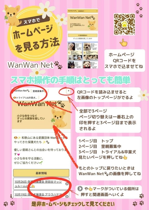 Screenshot_20251025_195250_LINE