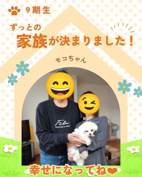 卒業犬_20251208_202517_0000