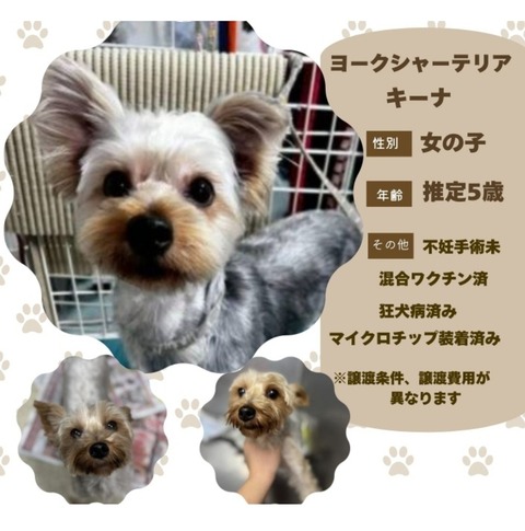 Screenshot_20251203_195634_Chrome