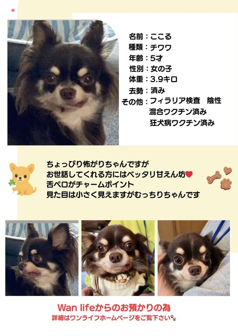 ホームページ掲載画像_20251207_150707_0000