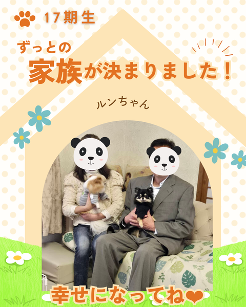 卒業犬_20260404_194238_0000