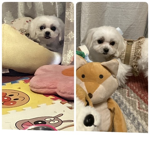 26-02-28-11-34-43-279_deco