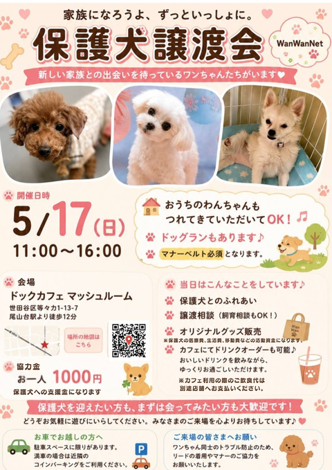 協力金（保護犬への支援金として）