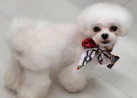 Screenshot_20251106_124347_Instagram