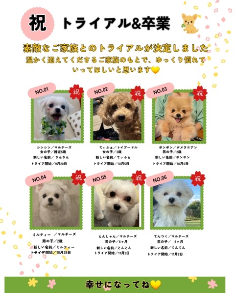 Screenshot_20251228_001405_Chrome