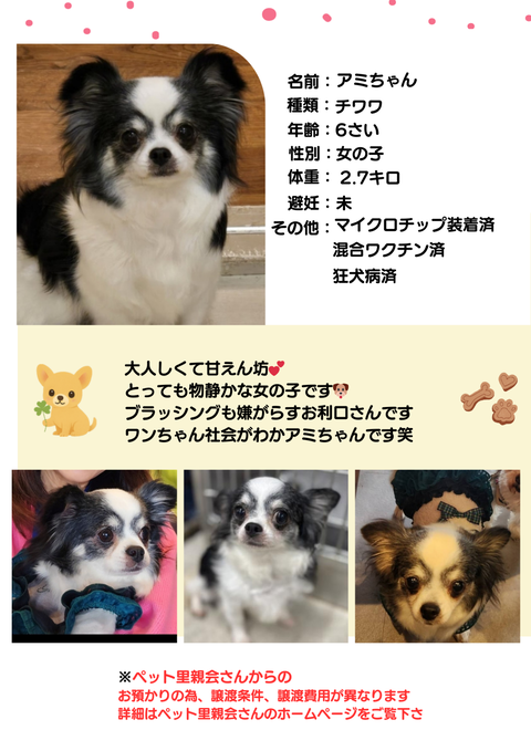 ホームページ掲載画像_20251207_153139_0000