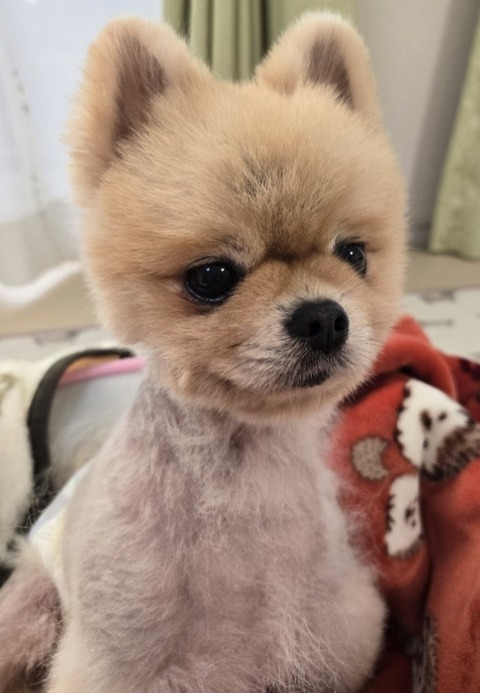 Screenshot_20251123_175956_Ameba