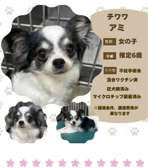 Screenshot_20251203_195602_Chrome