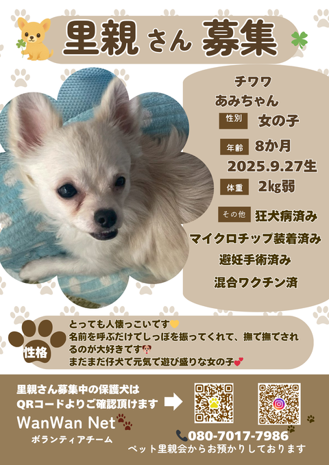 ホームページ掲載画像