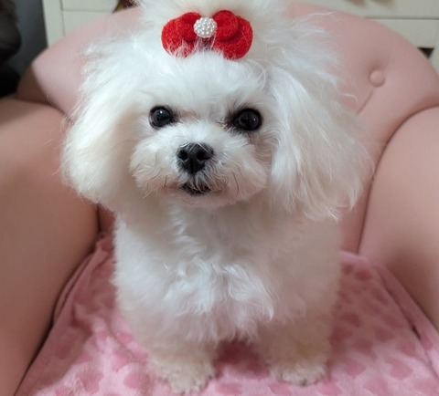 Screenshot_20251017_141510_Instagram